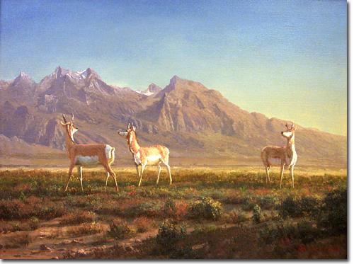 Albert Bierstadt Prong-Horned Antelope oil painting image